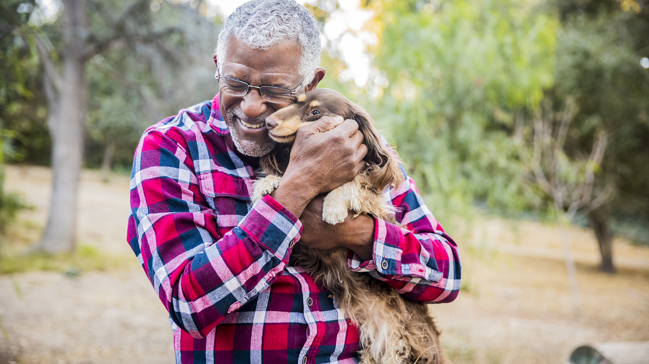 7 Reasons Seniors Should Consider Getting A Pet 